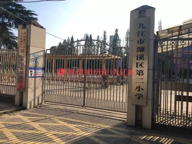 弋江区小学全新招聘启事概览